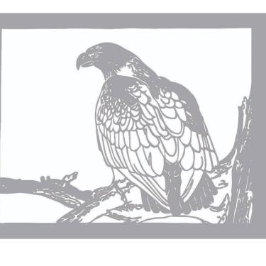 Imagem de Quadro Decorativo Cinza Mdf Gavião 40X20Cm