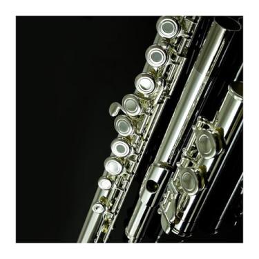 Imagem de Flauta de instrumento de flauta 17 furos abertos e fechados flauta banhada a prata dupla finalidade 16 furos C Tune cobre branco (A)