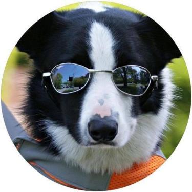 Imagem de Capa De Estepe Ecosport Aircross Dog De Estimação