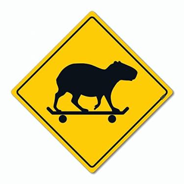 Imagem de Placa Decorativa 30x30 Sinalização Capivara - Beek