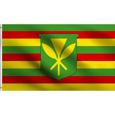 Imagem de DMSE Kanaka Maoli Hawai'i Hawaii King Kamehameha Bandeira havaiana nativa 9,5 x 1,5 m pés 100% poliéster 100D bandeira resistente a UV (9,5 x 1,5 m pés)
