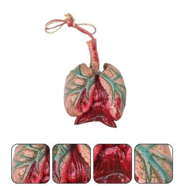 Imagem de Pulmão Com Sangue Decoração Assustadora Halloween