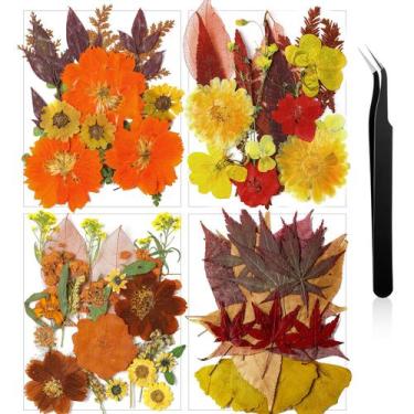 Imagem de Flores prensadas Nuanchu Dried Flower Crafts com pinça 74 unidades