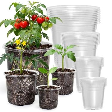 Imagem de MIXC Vasos transparentes para berçário com orifícios de drenagem, 16,5/5/4/8,5 cm de plástico transparente reforçado para iniciantes, para plantador de mudas de jardinagem interno e externo, pacote