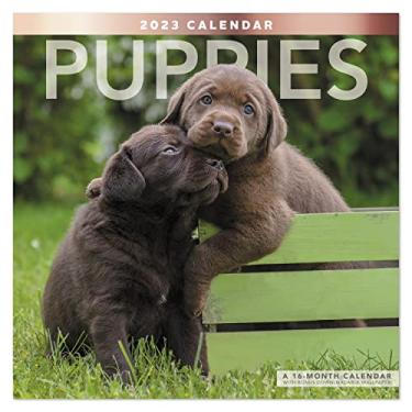 Imagem de Calendário mensal 2023 Mead LME1001023, fotos de filhotes, 30,5 x 30,5 cm