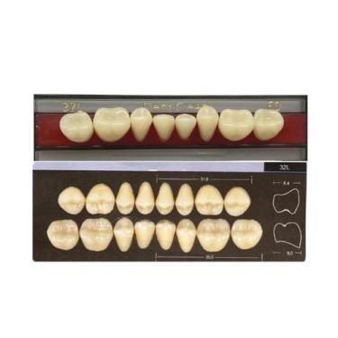 Imagem de Dente Dent Clean Posterior 32L Inferior - Imodonto