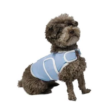 Imagem de BalancePaw Colete para alívio da ansiedade para cães – Casaco respirável e calmante para tempestades, viagens, fogos de artifício e visitas veterinárias (P, azul claro)