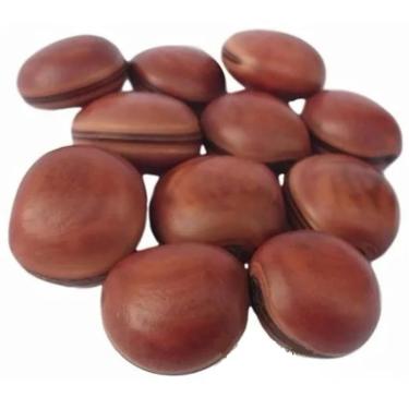 Imagem de Kit 40 Sementes Olho De Boi Amuleto Natural Sem Furo Mucunã