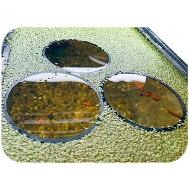 Imagem de Anéis flutuantes para plantas de aquário e anel de alimentação de peixes [ 3 unidades] - Mantenha suas plantas no lugar e fora do seu filtro - curral de plantas flutuantes - aquário mais limpo, saudável e profissional
