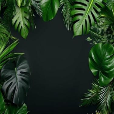 Imagem de Quadro Decorativo com Estampa Close de Folhas Verdes em Fundo Preto - Arte Moderna para Decoração de Parede 50x50cm