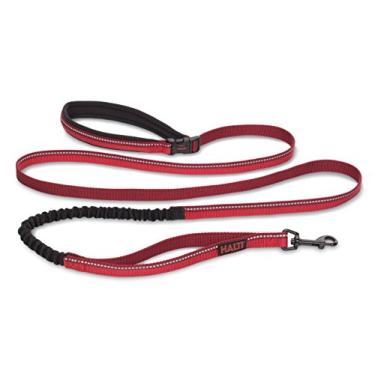 Imagem de HALTI Coleira ativa – Prêmio Bungee Dog Leash, Absorvente de Choque, Cinto e Guia Acolchoados de Neoprene All-in-One, Perfeita para Corrida e Treinamento com Cães Pequenos e Médios (Tamanho Pequeno,