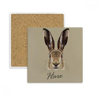 Imagem de Porta-copos quadrado de coelho selvagem com nariz grande cinza e pedra isolante