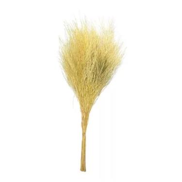 Imagem de Buquê De Capim Aspargo Alvejado Desidratado Arranjo - FLORA FULL