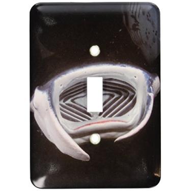 Imagem de 3dRose lsp_46010_1 Este Manta Ray, Manta Birostris, foi fotografado alimentando à noite fora da grande ilha, Havaí. Interruptor de botão único