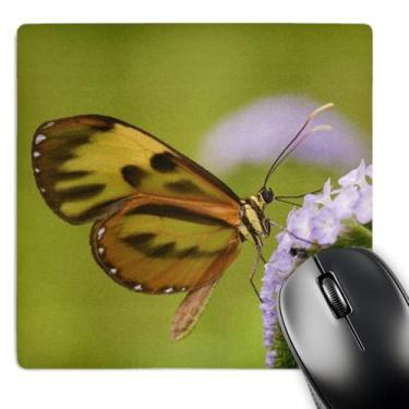 Imagem de 3dRose Mouse pad LLC 20 x 20 x 0,25 Peru Madre De Dios Butterfly on Flower Jaynes Gallery (mp_86958_1)