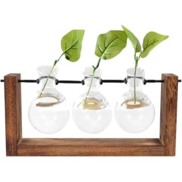 Imagem de Vaso de Vidro Redondo Decorativo para Plantas, Com Suporte de Madeira e Metal para Vaso, Decoração de Mesa, Sala, Banheiro (VASO 2)