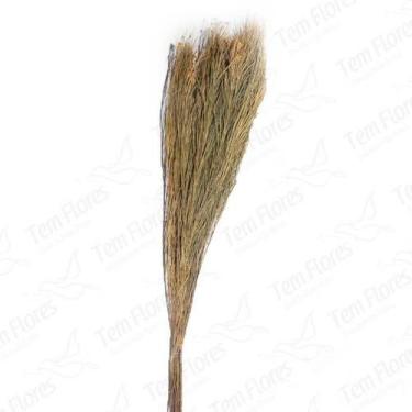 Imagem de Capim Vassourão Natural Desidratado - Flores Secas - Pense Flores