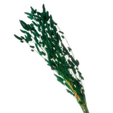 Imagem de Celósia Rabo de Coelho Verde Desidratado - Pense Flores