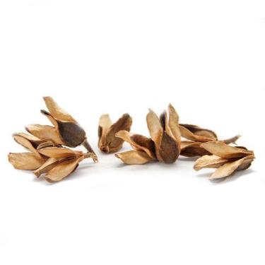 Imagem de Sementes Cascas Diversas para Decoração Flores Seca Variadas - Bate Ca