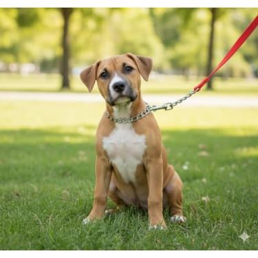 Imagem de Coleira Guia para Cachorro Cães Corrente Enforcador Aço Inox Metálica Metal e Alça em Nylon Ergonômica Confortável 120 cm Resistente para Porte Pequeno Médio Grande para Passeio Caminhada 1,2m