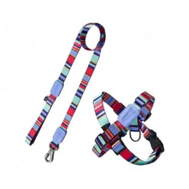 Imagem de Peitoral e Guia para Cães P – Design Raios e Listras Violeta