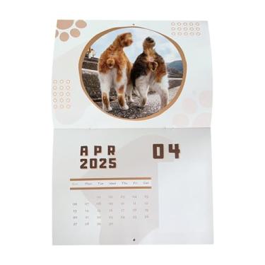 Imagem de CALENDAR CAT 2025 – Bojo de gato, planejador mensal de bolas para gatos | Calendário de parede de 12 meses com espaço para anotações, páginas brilhantes, presente de comédia para amantes de gatos