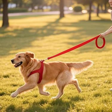 Imagem de Coleira para cães de estilo tradicional de 1,8 m, gancho de coleira forte, para cães pequenos, médios e grandes (2,5 cm x 1,8 m, vermelho)