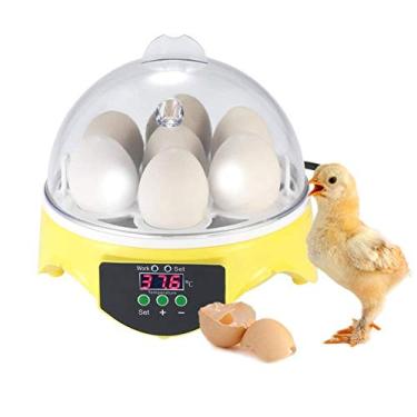 Imagem de LMJYU Mini incubadora digital de incubadoras de ovos de temperatura automática para galinhas de pássaros e patos