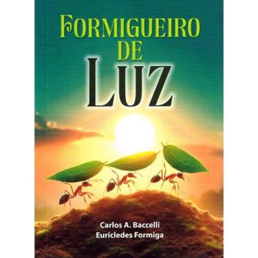 Imagem de Formigueiro de Luz - LEEPP