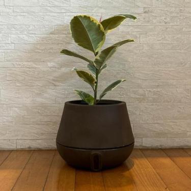 Imagem de Vaso Intelligente Autoirrigável Brota Cuia 25x32 Marrom Absoluto - BRO