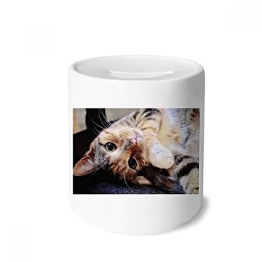 Imagem de DIYthinker Caixa de moedas de cerâmica com estampa de animal e gatos, listras, presente de cofrinho