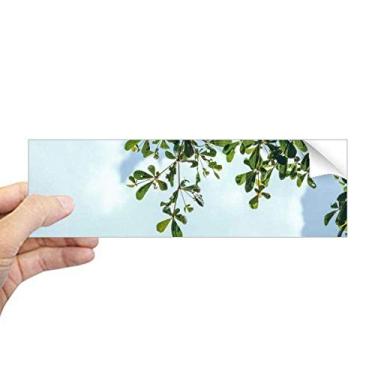 Imagem de DIYthinker Adesivo retangular de folhas verdes azul céu azul adesivo para janela notebook