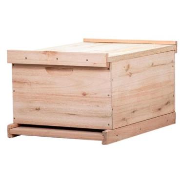 Imagem de Caixa Colmeia Ninho Abelha Europeia Africana Apis 10 Quadros - Apiario