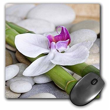 Imagem de 3dRose Mouse pad de flor de orquídea branca em bastão de bambu verde com seixos (mp_266533_1)