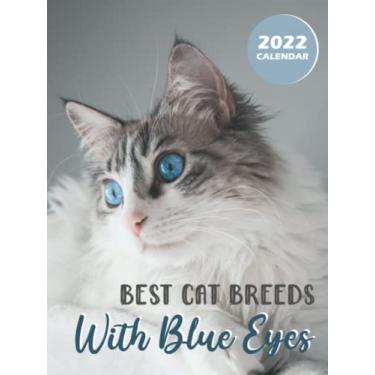 Imagem de Best Cat Breeds With Blue Eyes 2022 Calendar: 12-month Calendar 2022 from Jan 2022 to Dec 2022 in mini size 8x6 inch