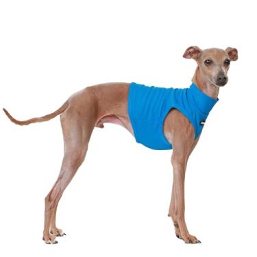 Imagem de D Doggy Star Italian Greyhound Clothes Summer Cooling Crop Top Camiseta Whippet para cães (G, Coolcrop Blue)