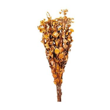 Imagem de Chuvisco Laranja Desidratado - Pense Flores