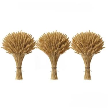 Imagem de 400 Hastes De Trigo Seco Para Decoração Festa Junina Arraiá Enfeites Artigos Mesa Arranjo Elegante(03 Maços (120 Hastes))