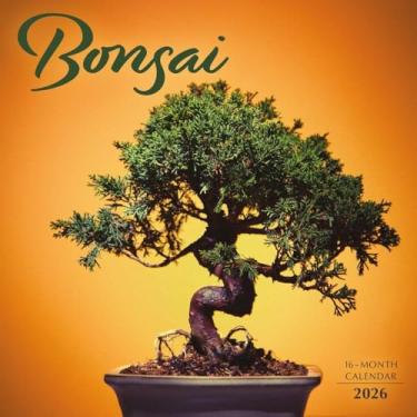 Imagem de Carousel Calendars, Calendário de parede Bonsai 2026, 30,5 cm x 30,5 cm, calendário de 16 meses com encadernação grampeada
