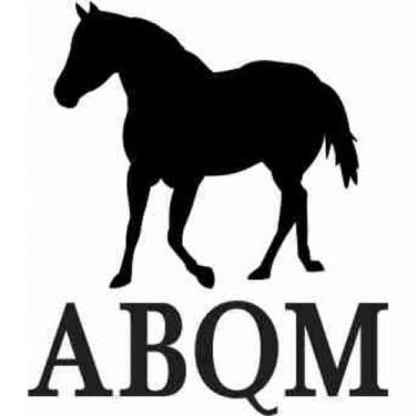 Imagem de Adesivo ABQM SV2206 - Preto - Selaria Vertentes