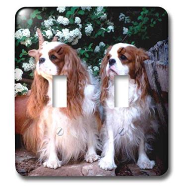 Imagem de 3dRose Lsp_1172_2 Interruptor duplo Blenheim Cavalier King Spaniel