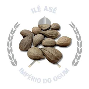 Imagem de Fava de exu - Não tem