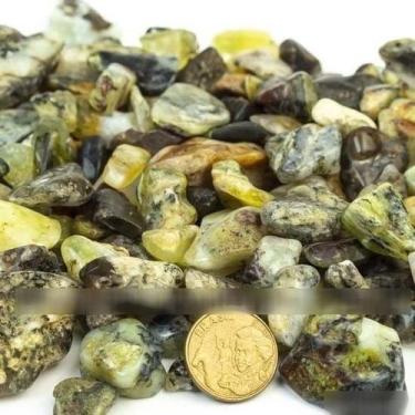 Imagem de Opala Fossilizada Pedra Natural Rolada Tamanho Médio 200g - Varejo