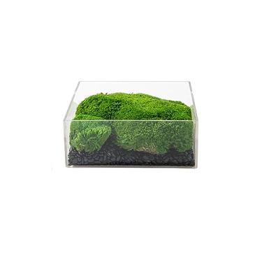 Imagem de Árvore artificial simulação de musgo simulação de planta bonsai decoração interna sala de estar negociação mesa de chá decoração de mesa de chá árvore falsa (B)