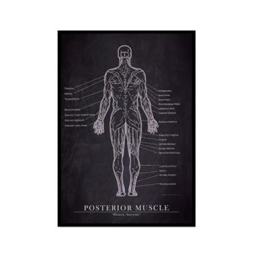 Imagem de Arte de anatomia humana, pintura em tela médica, vintage, esqueleto muscular, educação, pôster, impressão de imagem de parede, decoração de clínica hospitalar (SKU2,8 x 30,5 cm = (20 x 30 cm), moldura