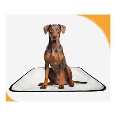 Imagem de Tapete Para Cães Reutilizável Em Oferta 1 Un M 60X80 Cm - Shelby Moda 