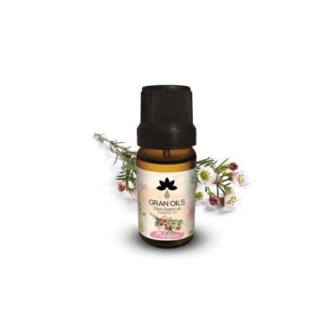 Imagem de Oleo Essencial Melaleuca Tamanho: 10ml - GRAN OILS