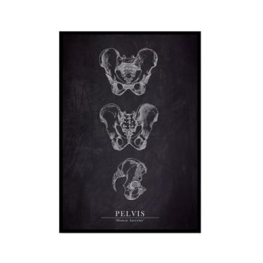 Imagem de Arte de anatomia humana, pintura em tela médica, vintage, esqueleto muscular, educação, pôster, impressão de imagem de parede, decoração de clínica hospitalar (SKU6,20,3 x 30,5 cm = (20 x 30 cm