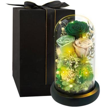Imagem de HipTree Preserved Morandi Rosa verde em cúpula de vidro com luzes LED – Presente de rosa eterna para mulheres, Dia dos Namorados, Dia das Mães, aniversário, Natal, aniversário de casamento, para mãe