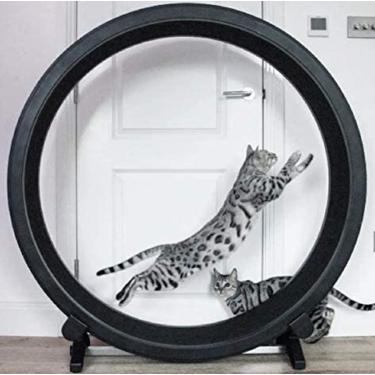 Brinquedo com vazamento de gato  Brinquedos de alimentação lenta giratória  de 360° em forma de roda gigante - Dispositivo de vazamento de alimentação  de jogo de exercício de treinamento Dalian 